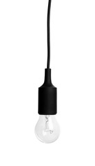 New incandescent light bulb for lamp on white background