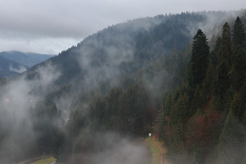 Misty morning in Black Forest. Misty mountains. Misty forest.