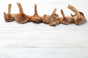Composition of dried mushrooms on wooden background. Space for text