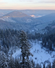  Sunrise over snowy hills in Black Forest, Germany. Snowy pine tree forest in the morning. Sunrise in snowy hills.