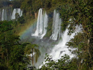 Obraz premium waterfall in forest