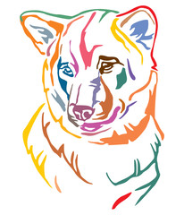 Colorful decorative portrait of Dog Shiba Inu vector illustration