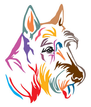 Colorful decorative portrait of Dog Scottish Terrier vector illustration