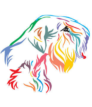 Colorful decorative portrait of Dog Sealyham Terrier vector illustration