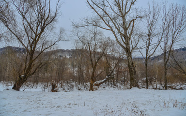 Winter scenery of Mohe County, China