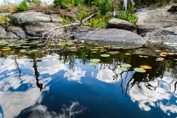 Clouds Reflected in a Wilderness Lake