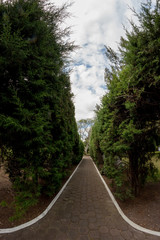 camino