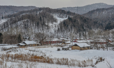 Fototapeta na wymiar Snow village in Mohe County, China