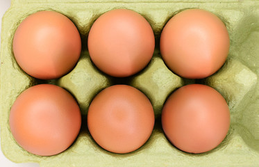 brown eggs in tray.
