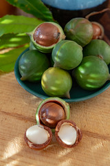 New harvest of ripe fresh Australian macadamia nuts in shell with leaves