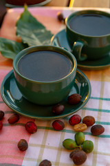 Cup with black coffee served outside with raw green, mature red and roasted coffee beans, decorated with green leaves from coffee plant