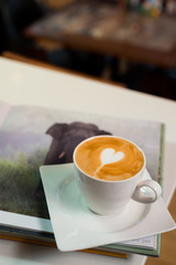 coffee latte art heart shape with wild animals book