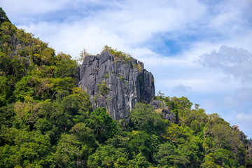 Fototapeta na wymiar Tropical island landscape with cliff and forest. Green mountain view on sky background. Sharp rock.