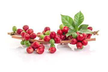 fresh coffee beans with leaf on white background
