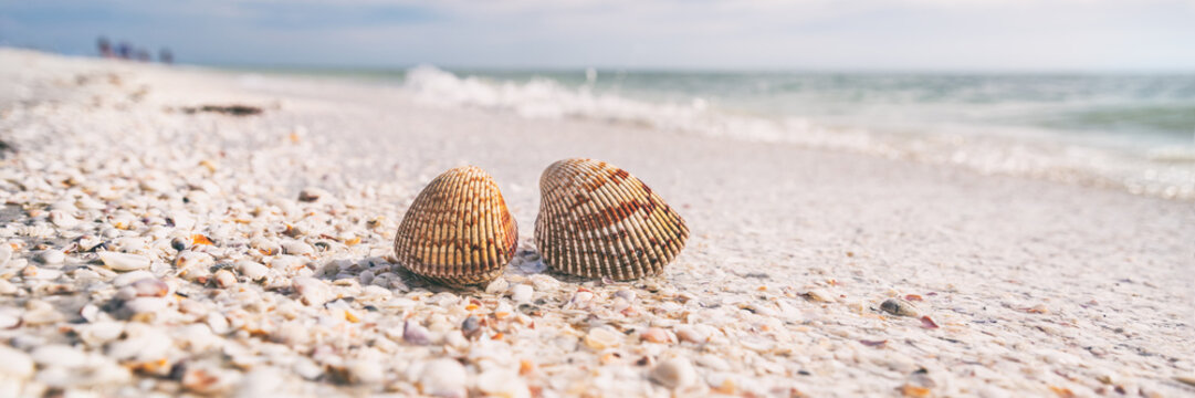 Seashells shelling activity on shell beach in Sanibel, Fort Myers , South Florida banner panorama background, USA travel.