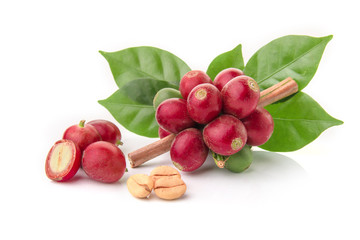 fresh coffee beans with leaf on white background