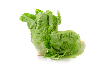 Romain Lettuce isolated on a white