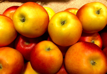 Many fresh yellow apples with a red side are lying on a sack in a store. Cropped shot, horizontal, nobody. The concept of healthy food.