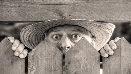 a curious man looks over a garden fence