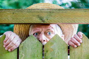 a curious man looks over a garden fence