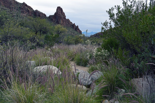 View from Ventana Canyon towards Tucson, Arizona