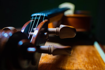 violin on black background