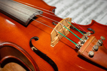 violin and notes defocus