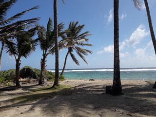 Plama y playa4