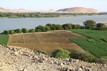   the antique city of the nubians