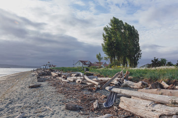 Fototapeta na wymiar Driftwood on beach and Victorian-era lighthouse in Discovery Park of Seattle, USA