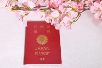 日本のパスポートと桜の花	