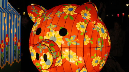 Red pig lantern