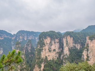 Fototapeta na wymiar Beautiful mountain of Yuanjiajie or Avartar mountain at Zhangjiajie National Forest Park in Wulingyuan District Zhangjiajie City China