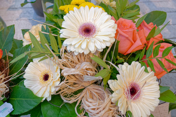 pale white gerber and one orange rose flowers bouquet closeup