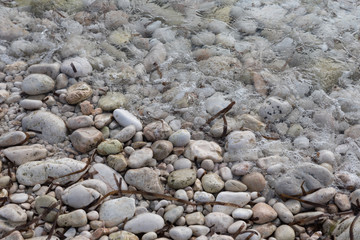 shore with stones