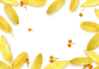 Fall Foliage. Autumn background with golden leaves and realistic rowan berries.