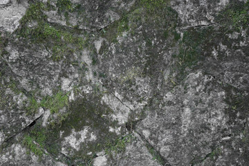 Stone and moss