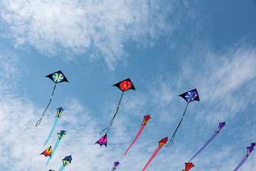 Fototapeta na wymiar Kites with blue sky and white clouds