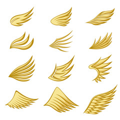 Set of gold wings on white background