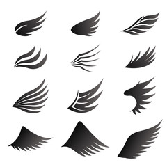 Set of black wings on white background