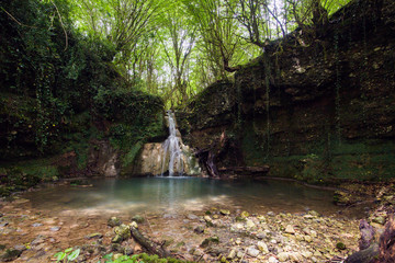 Boxwood waterfall in Abkhazia