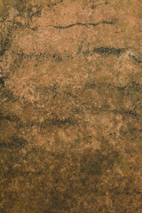 Grunge Brown Texture 