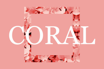 Text "CORAL" with flower coral decoration on soft pink background. Trendy color of the Year 2019.