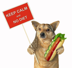 The mongrel dog holds a big hot dog and a poster. Keep calm and no diet. Isolated.