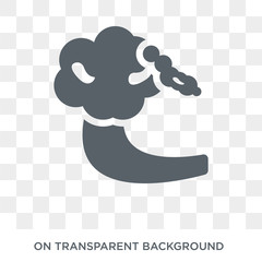 Tsunami icon. Tsunami design concept from Weather collection. Simple element vector illustration on transparent background.