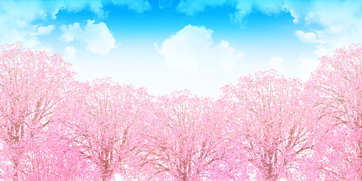 桜　春　花　背景 