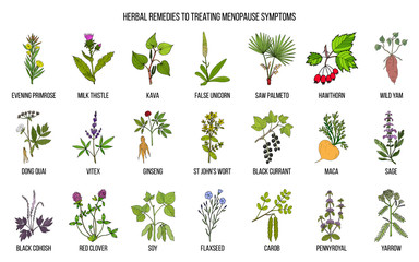 Best herbs for menopause symptom treatment