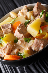 Thick German soup Pichelsteiner with vegetables and three kinds of meat close-up in a bowl. vertical