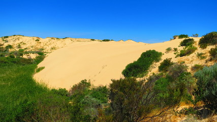Coorong National Park, Australia