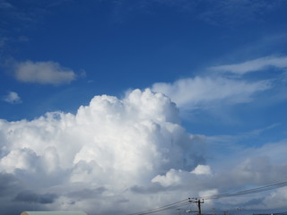 夏の雲
